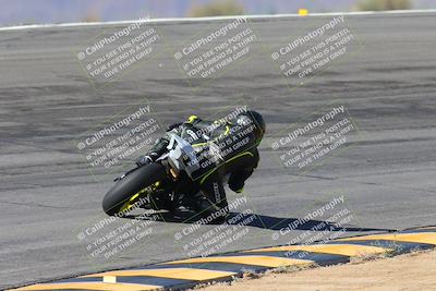 media/Feb-04-2024-SoCal Trackdays (Sun) [[91d6515b1d]]/4-Bowl Backside (11am)/